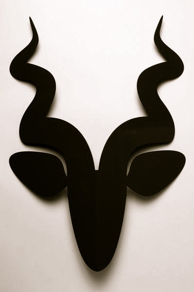 Black Buck Trophy-Curly Horns
