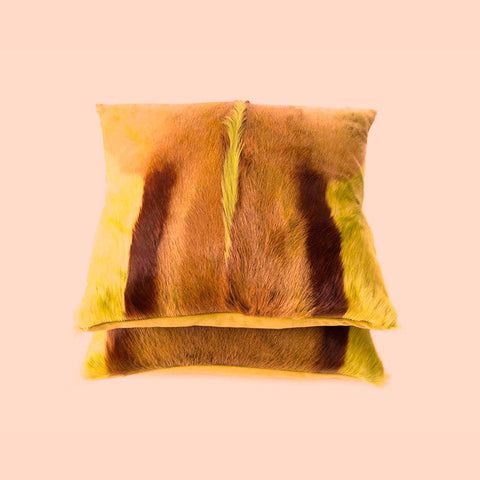 Yellow Springbok Pillow Cover